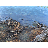 King tide image